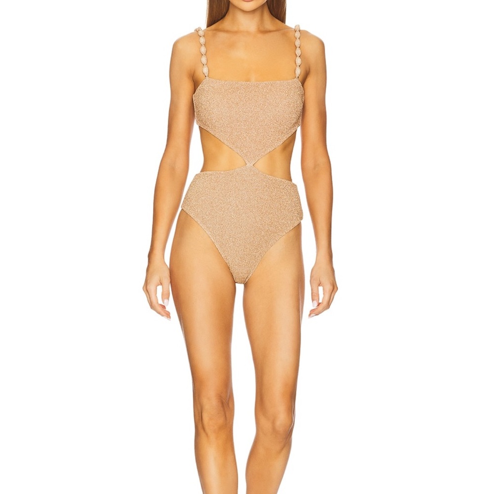 Devon Windsor  Cutout One-Piece Swimsuit (NWT)